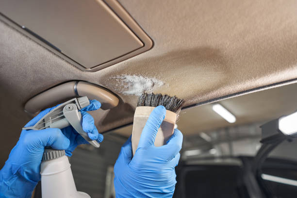 Headliner Cleaning Charlotte NC